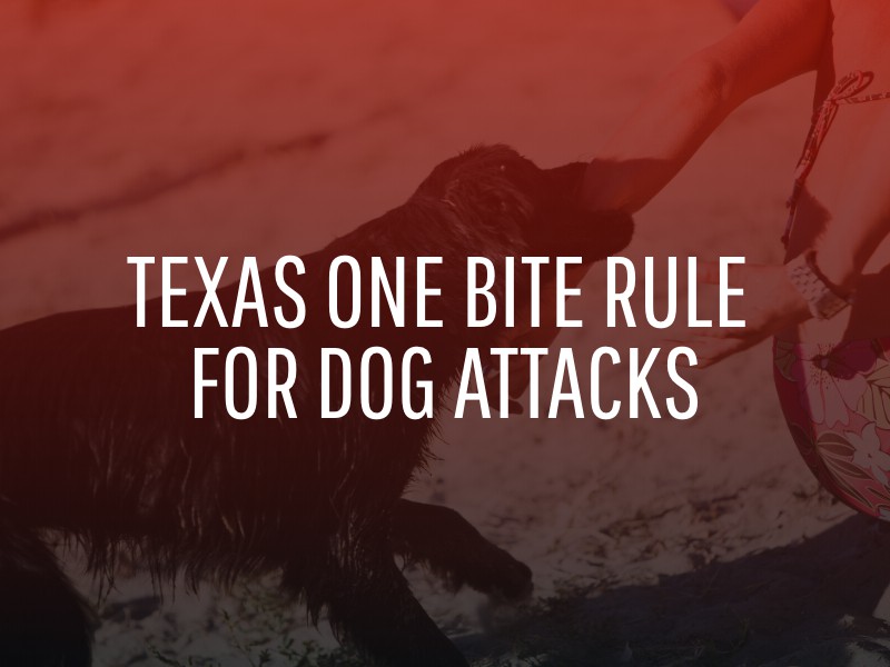 Dog Bite Lawyer Texas