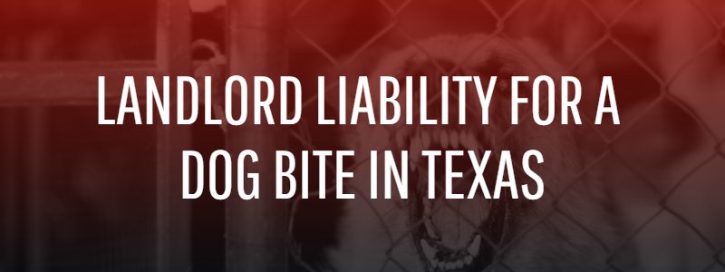 Landlord Be Held Liable for a Dog Bite in Texas