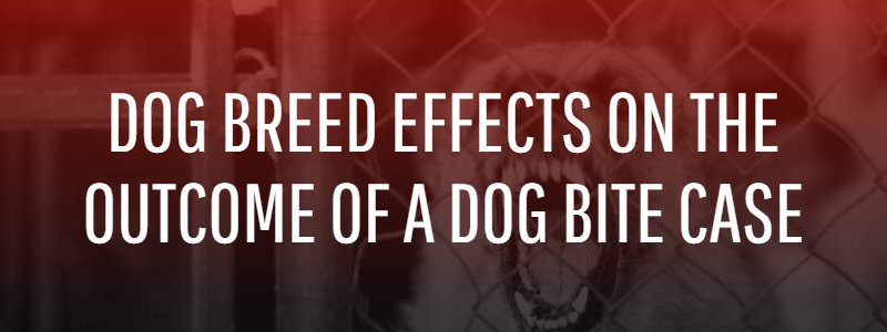 Breed Affect the Outcome of a Dog Bite Case