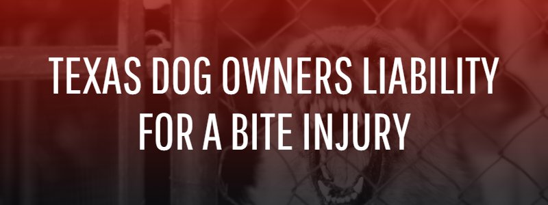 Texas Dog Owners Liability for a Bite Injury